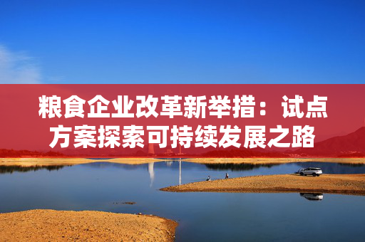 粮食企业改革新举措：试点方案探索可持续发展之路