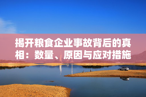 揭开粮食企业事故背后的真相：数量、原因与应对措施