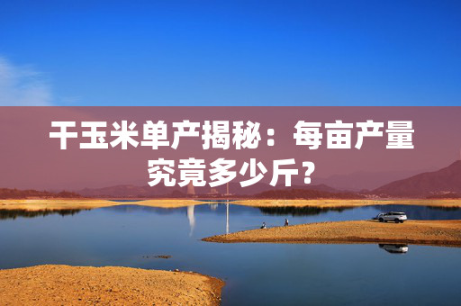 干玉米单产揭秘：每亩产量究竟多少斤？
