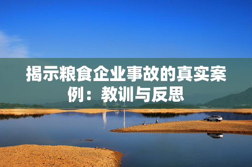 揭示粮食企业事故的真实案例：教训与反思