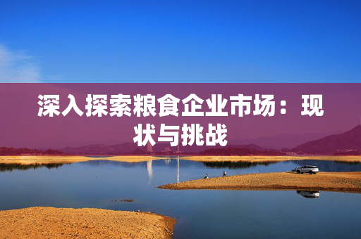 深入探索粮食企业市场：现状与挑战
