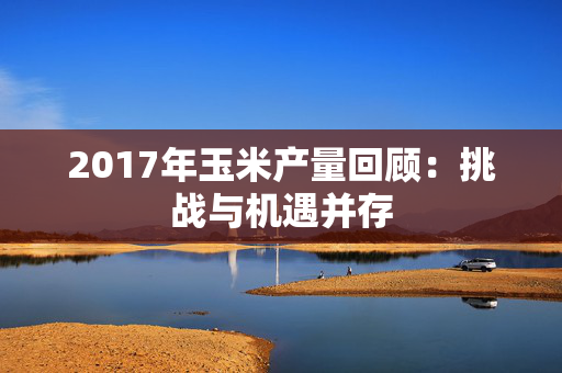 2017年玉米产量回顾：挑战与机遇并存