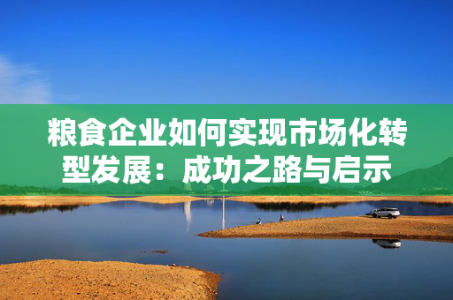 粮食企业如何实现市场化转型发展：成功之路与启示