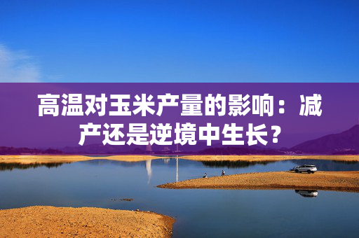 高温对玉米产量的影响：减产还是逆境中生长？