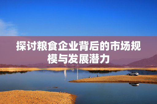探讨粮食企业背后的市场规模与发展潜力