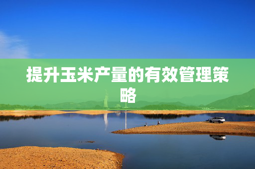 提升玉米产量的有效管理策略