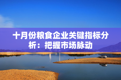 十月份粮食企业关键指标分析：把握市场脉动