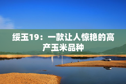 绥玉19：一款让人惊艳的高产玉米品种