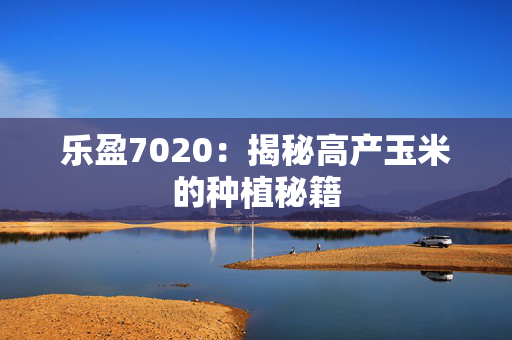 乐盈7020：揭秘高产玉米的种植秘籍