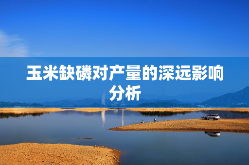玉米缺磷对产量的深远影响分析