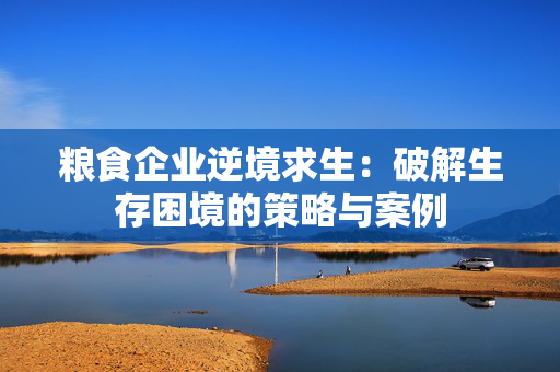 粮食企业逆境求生：破解生存困境的策略与案例