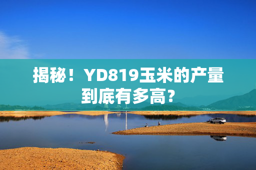 揭秘！YD819玉米的产量到底有多高？