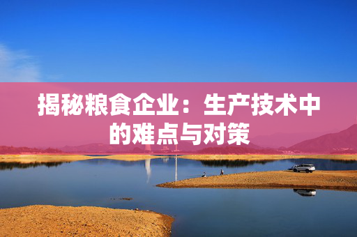 揭秘粮食企业：生产技术中的难点与对策