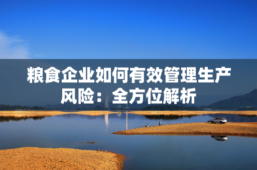 粮食企业如何有效管理生产风险：全方位解析