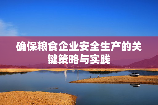 确保粮食企业安全生产的关键策略与实践