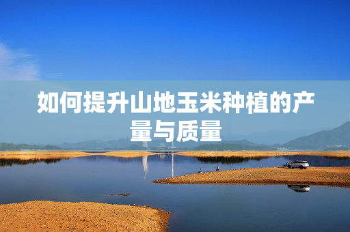 如何提升山地玉米种植的产量与质量