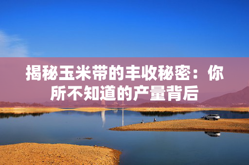 揭秘玉米带的丰收秘密：你所不知道的产量背后
