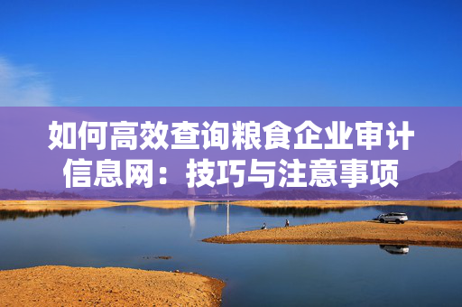 如何高效查询粮食企业审计信息网：技巧与注意事项