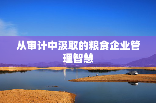 从审计中汲取的粮食企业管理智慧