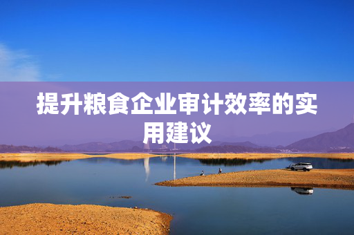提升粮食企业审计效率的实用建议