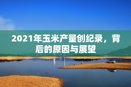 2021年玉米产量创纪录，背后的原因与展望