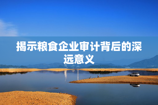 揭示粮食企业审计背后的深远意义