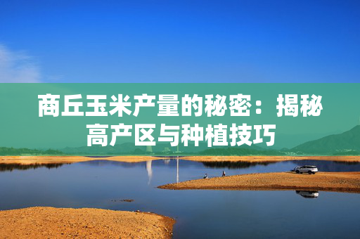 商丘玉米产量的秘密：揭秘高产区与种植技巧