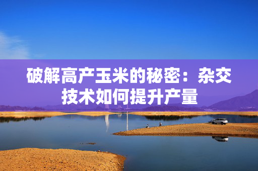 破解高产玉米的秘密：杂交技术如何提升产量