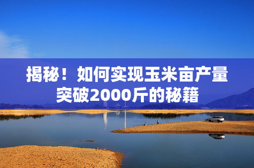 揭秘！如何实现玉米亩产量突破2000斤的秘籍