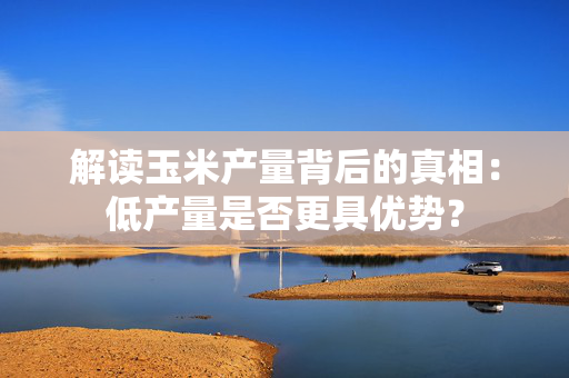 解读玉米产量背后的真相：低产量是否更具优势？