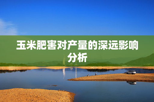 玉米肥害对产量的深远影响分析