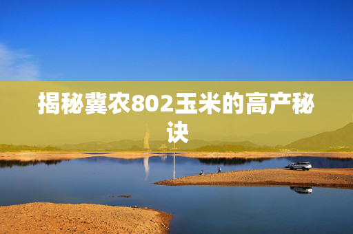 揭秘冀农802玉米的高产秘诀