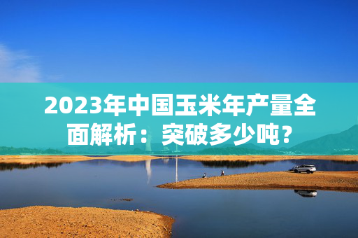 2023年中国玉米年产量全面解析：突破多少吨？