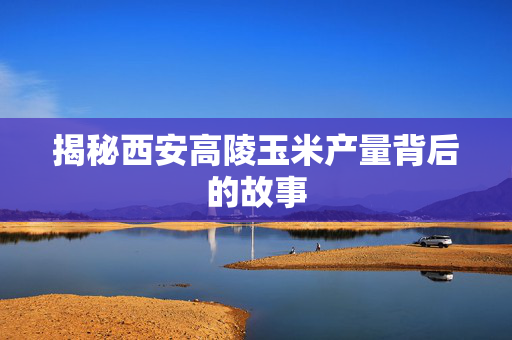 揭秘西安高陵玉米产量背后的故事