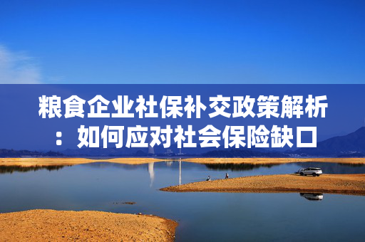 粮食企业社保补交政策解析：如何应对社会保险缺口