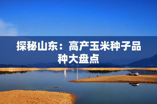 探秘山东：高产玉米种子品种大盘点