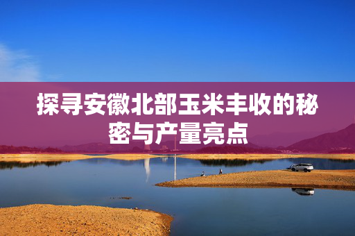 探寻安徽北部玉米丰收的秘密与产量亮点