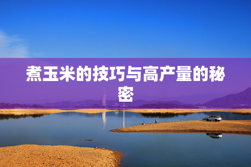 煮玉米的技巧与高产量的秘密