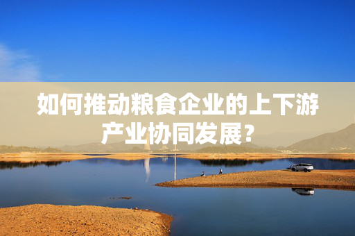 如何推动粮食企业的上下游产业协同发展？