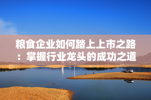 粮食企业如何踏上上市之路：掌握行业龙头的成功之道