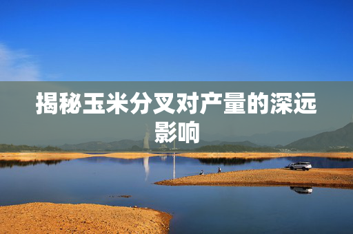 揭秘玉米分叉对产量的深远影响