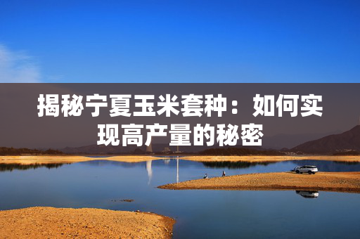 揭秘宁夏玉米套种：如何实现高产量的秘密