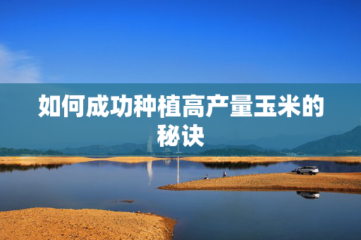 如何成功种植高产量玉米的秘诀