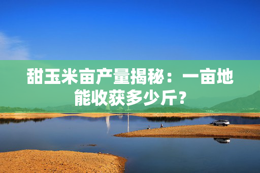 甜玉米亩产量揭秘：一亩地能收获多少斤？