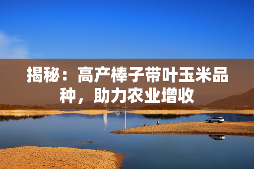 揭秘：高产棒子带叶玉米品种，助力农业增收