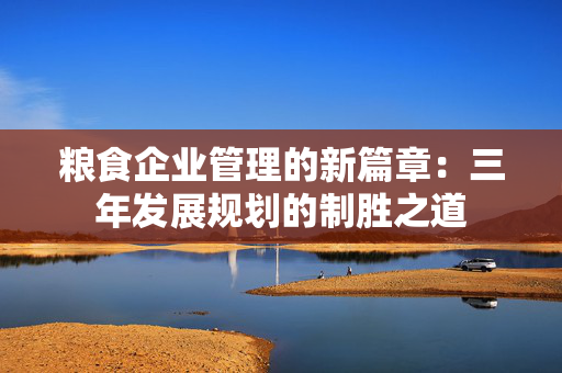 粮食企业管理的新篇章：三年发展规划的制胜之道