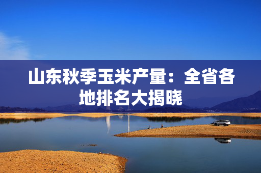 山东秋季玉米产量：全省各地排名大揭晓