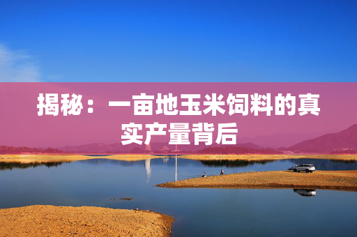 揭秘：一亩地玉米饲料的真实产量背后