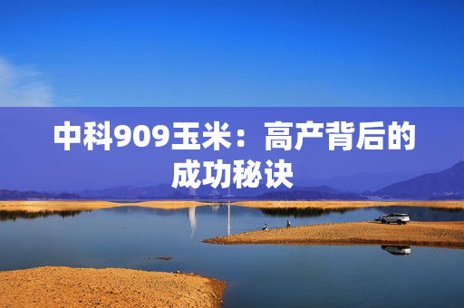 中科909玉米：高产背后的成功秘诀