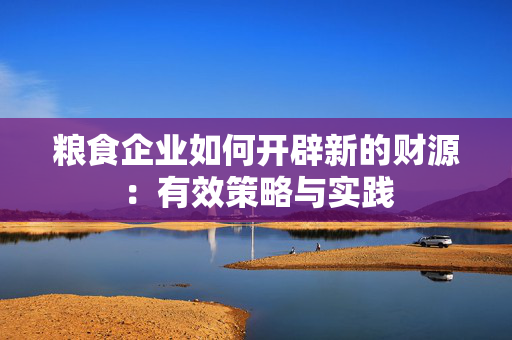 粮食企业如何开辟新的财源：有效策略与实践